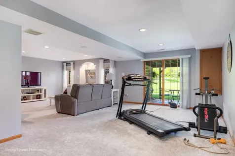 3209 Lightning Court New Lenox IL 60451