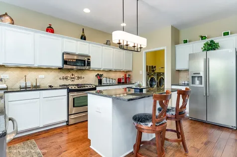 3209 Lightning Court New Lenox IL 60451
