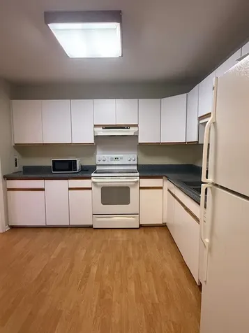 527 West Eastman Street Arlington Heights IL 60005