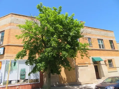 1552 West Highland Avenue Chicago IL 60660