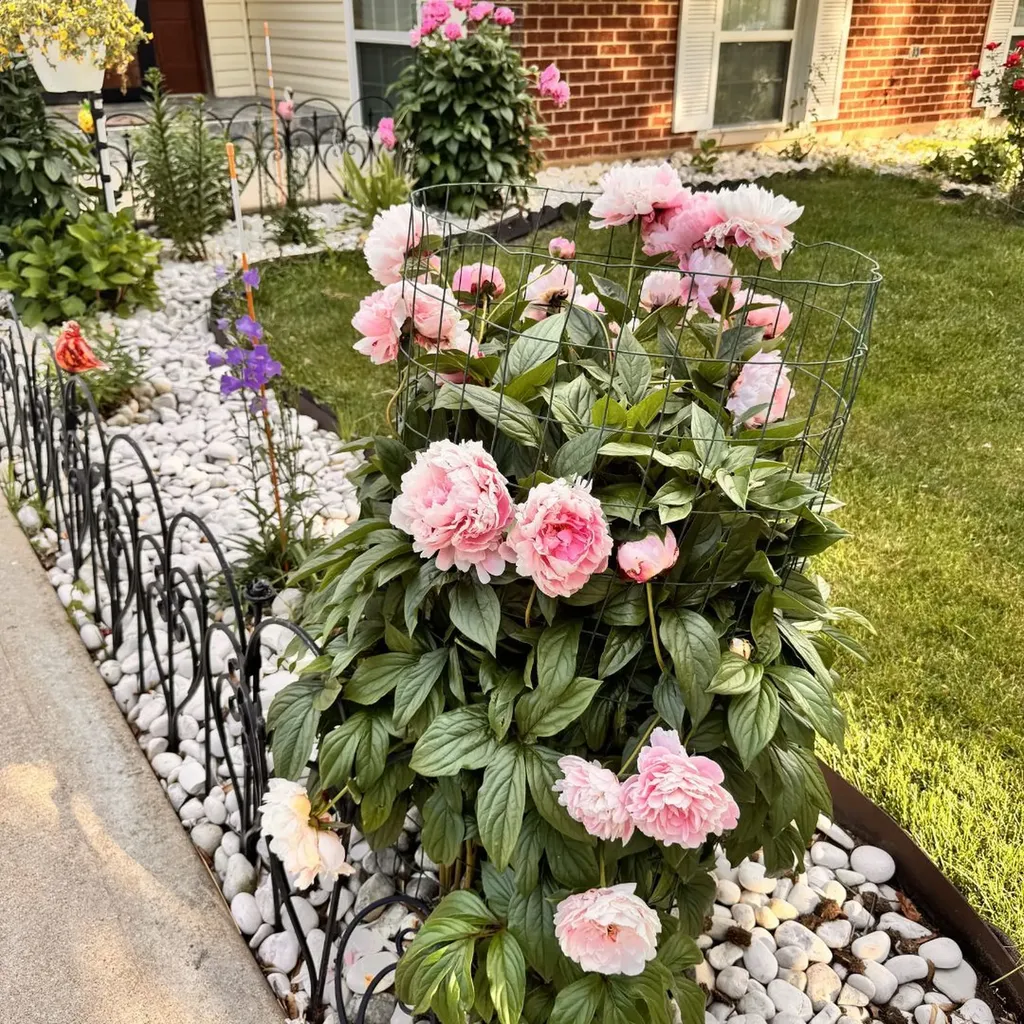 2215 Bradford Drive Wheaton IL 60189