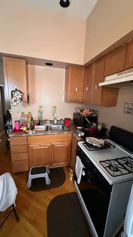 4818 South Princeton Avenue Chicago IL 60609