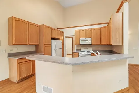 10899 Swallow Tail Lane Frankfort IL 60423