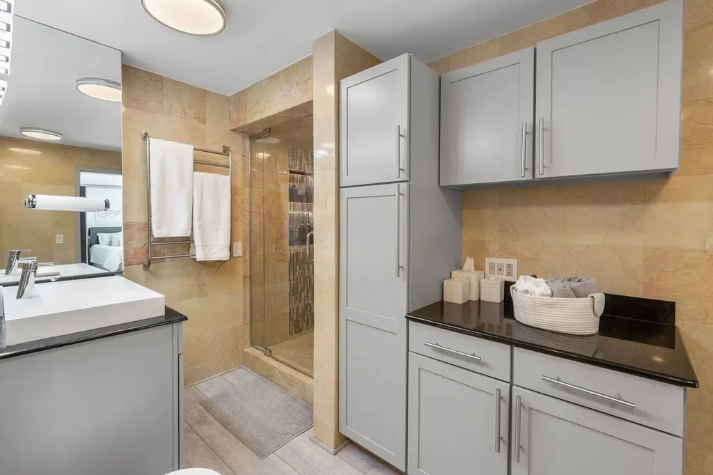 1255 North Sandburg Terrace Chicago IL 60610