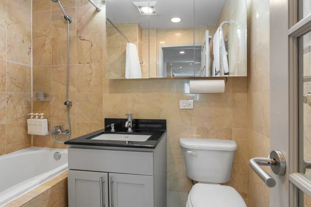 1255 North Sandburg Terrace Chicago IL 60610