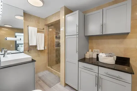 1255 North Sandburg Terrace Chicago IL 60610