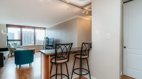 3930 North Pine Grove Avenue Chicago IL 60613