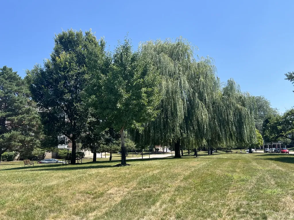 500 Thames Parkway Park Ridge IL 60068