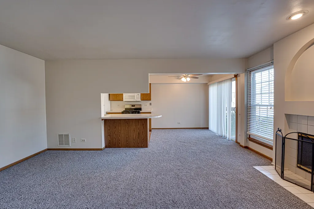 196 Park Ridge Lane Aurora IL 60504