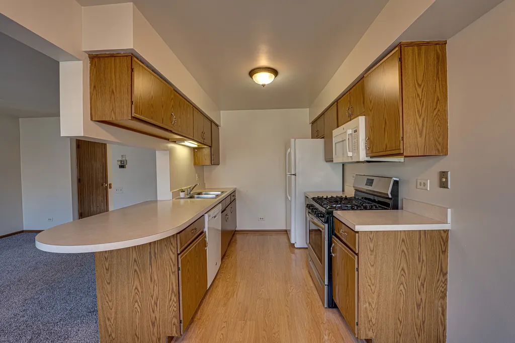 196 Park Ridge Lane Aurora IL 60504