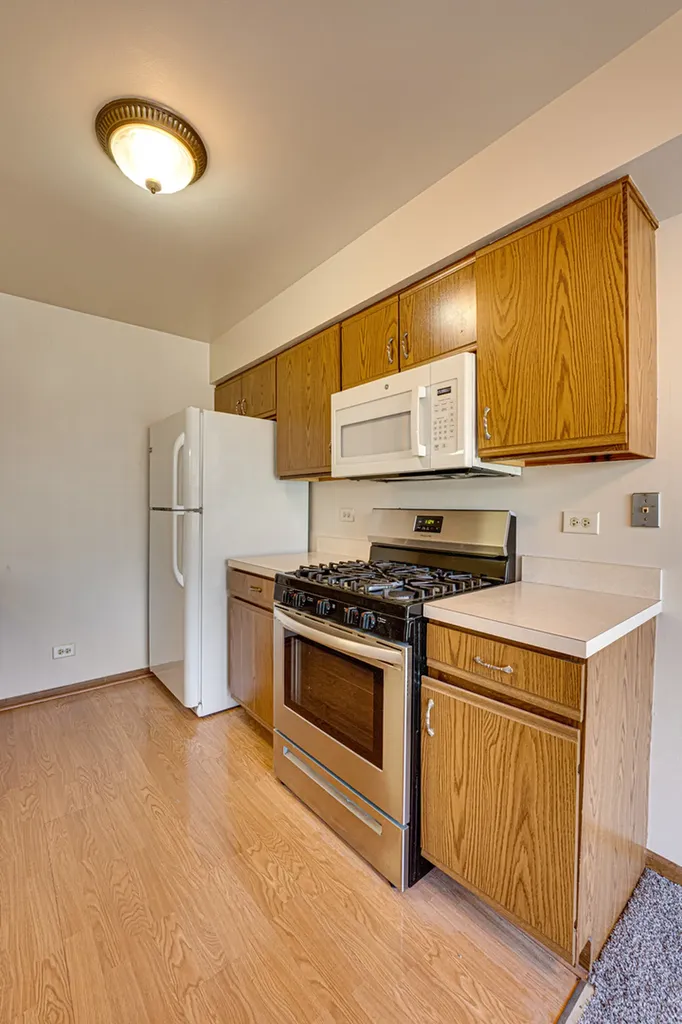 196 Park Ridge Lane Aurora IL 60504