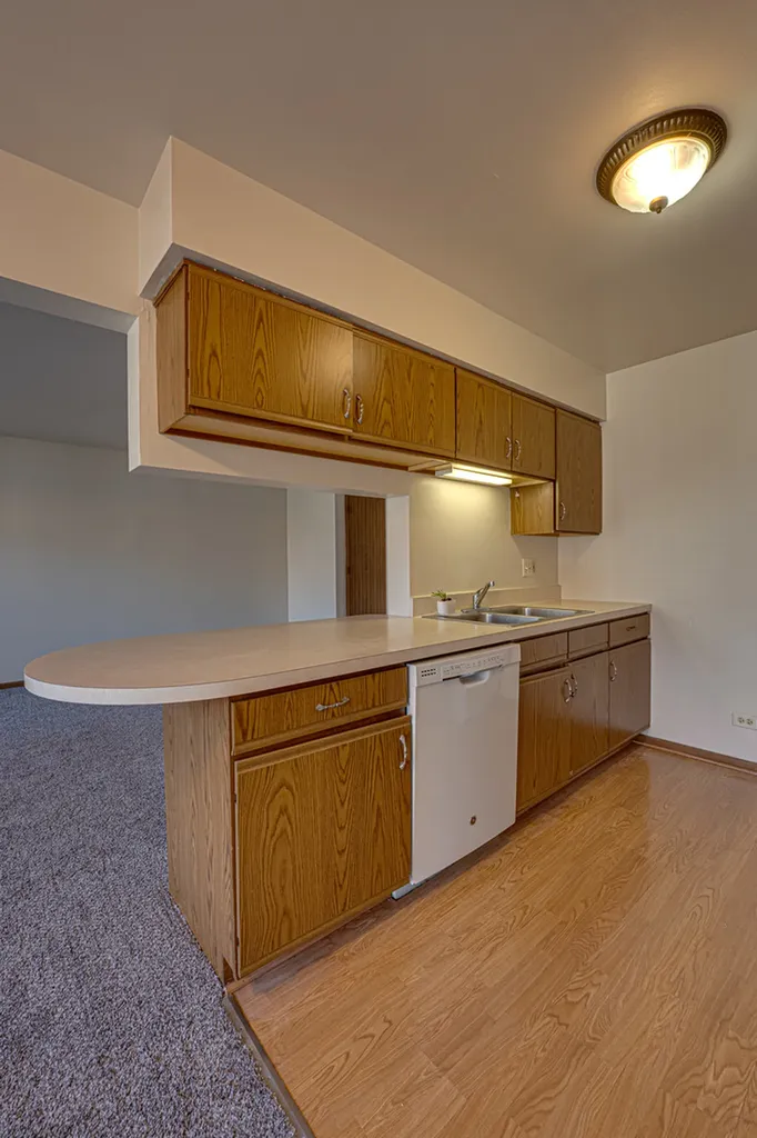 196 Park Ridge Lane Aurora IL 60504