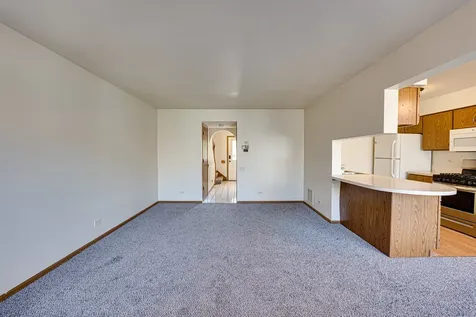 196 Park Ridge Lane Aurora IL 60504