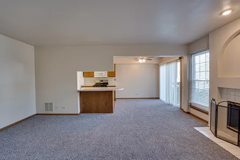 196 Park Ridge Lane Aurora IL 60504
