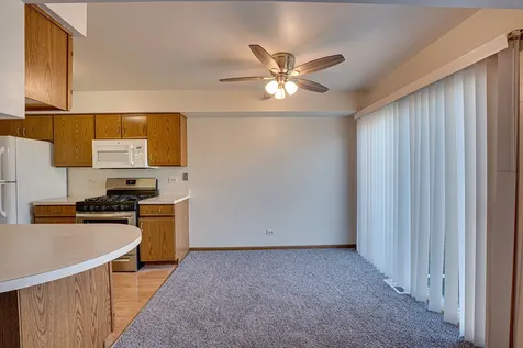 196 Park Ridge Lane Aurora IL 60504