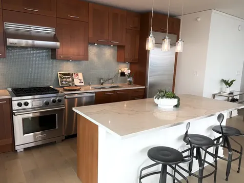 225 North Columbus Drive Chicago IL 60601