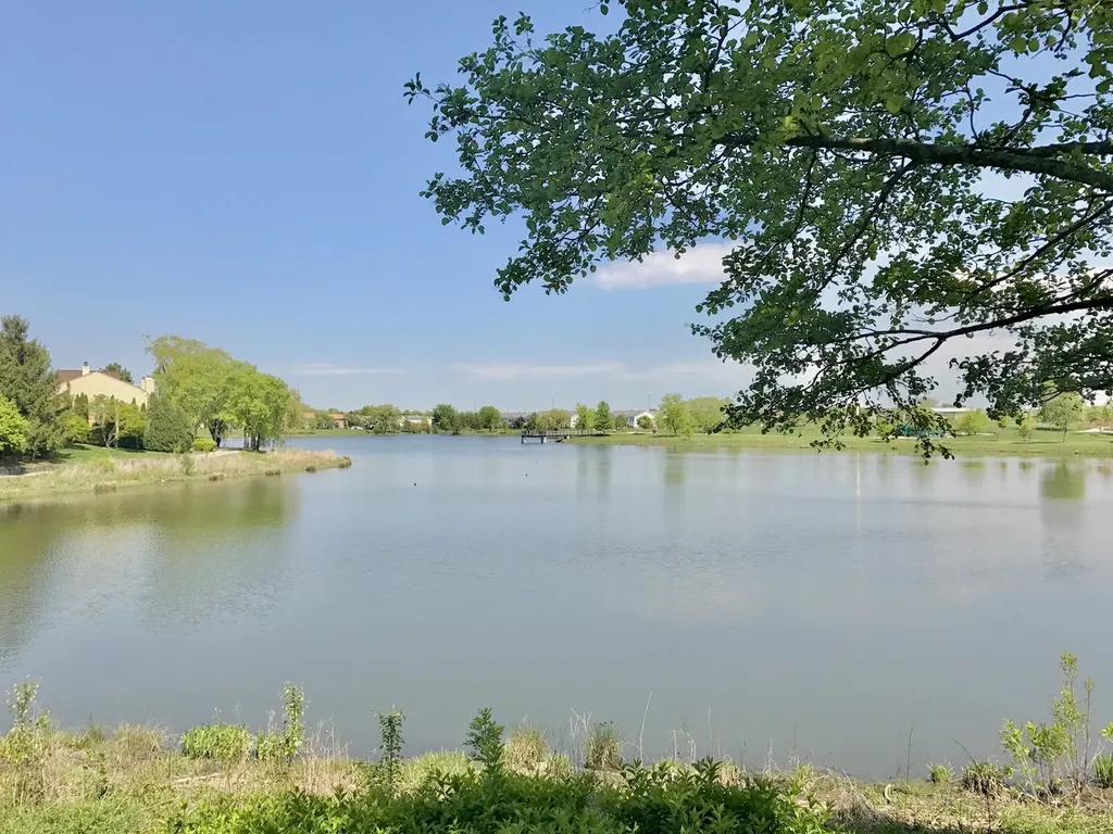 241 Shadybrook Lane Aurora IL 60504