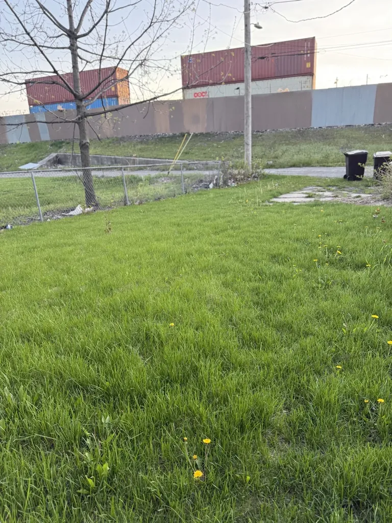 4764 South Shields Avenue Chicago IL 60609