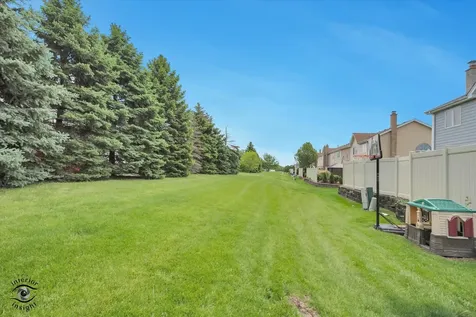 8590 Tullamore Drive Tinley Park IL 60487