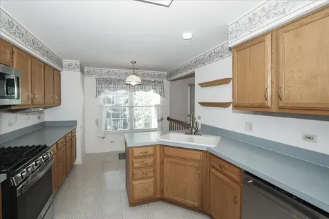 725 Deep Wood Court Elk Grove Village IL 60007