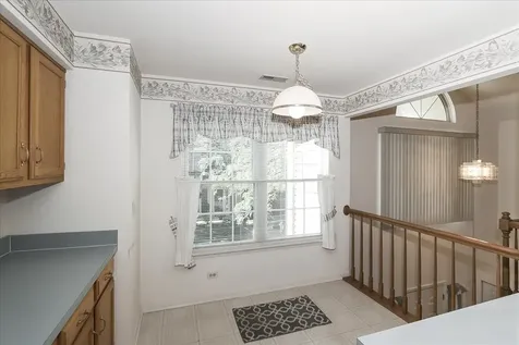 725 Deep Wood Court Elk Grove Village IL 60007