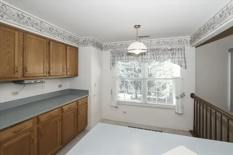 725 Deep Wood Court Elk Grove Village IL 60007