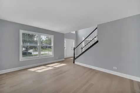 13217 Millbank Drive Plainfield IL 60585