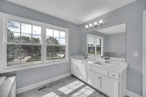 13217 Millbank Drive Plainfield IL 60585