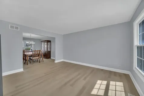 13217 Millbank Drive Plainfield IL 60585