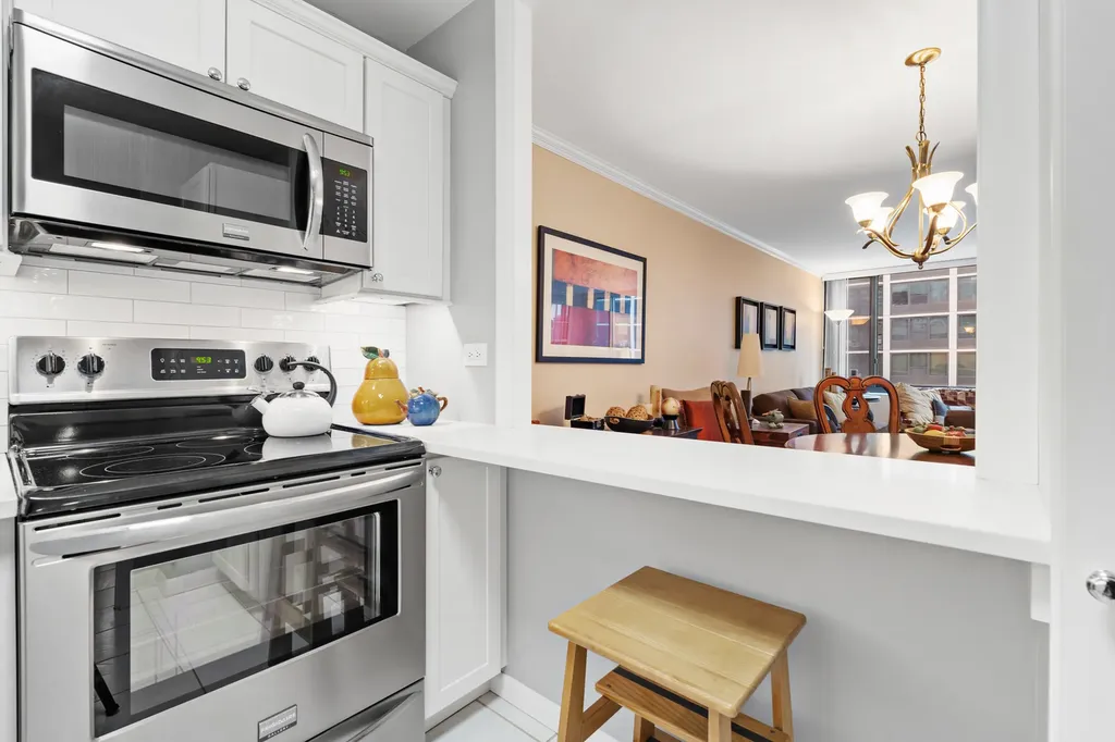 1555 North Sandburg Terrace Chicago IL 60610