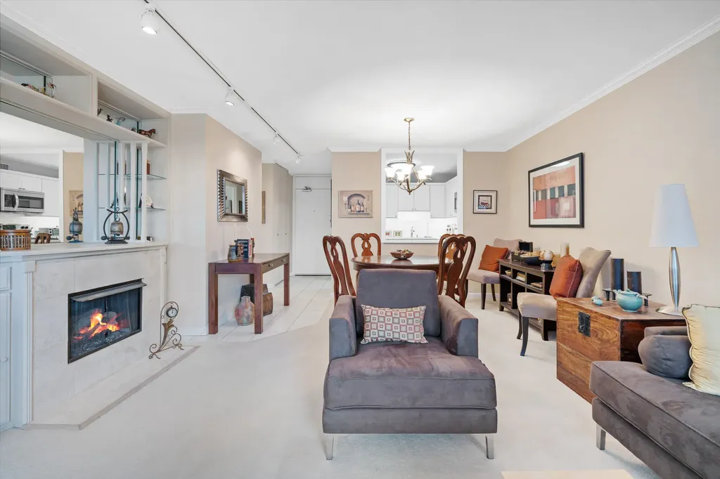 1555 North Sandburg Terrace Chicago IL 60610
