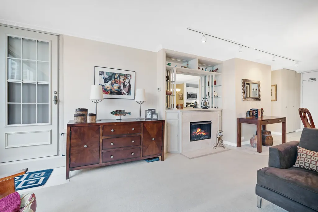 1555 North Sandburg Terrace Chicago IL 60610