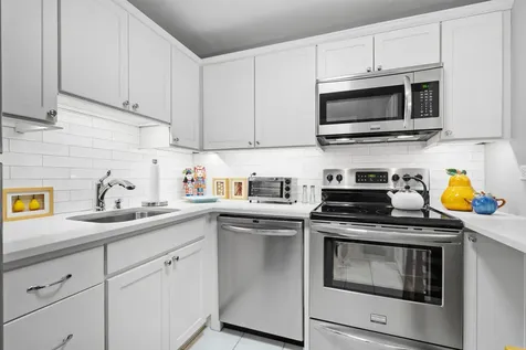 1555 North Sandburg Terrace Chicago IL 60610