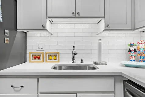 1555 North Sandburg Terrace Chicago IL 60610