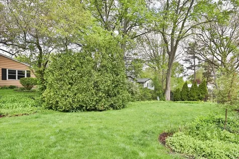 174 Timber Hill Road Buffalo Grove IL 60089