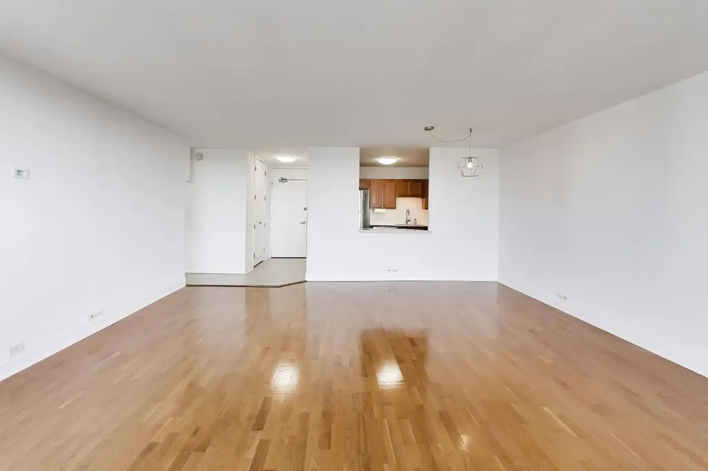 1560 North Sandburg Terrace Chicago IL 60610