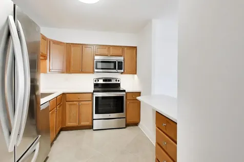 1560 North Sandburg Terrace Chicago IL 60610