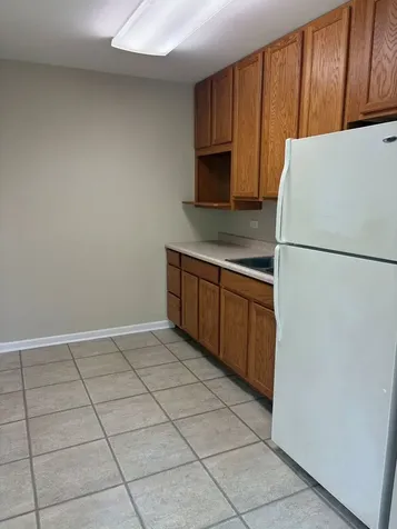 173 Thomas Court Wauconda IL 60084