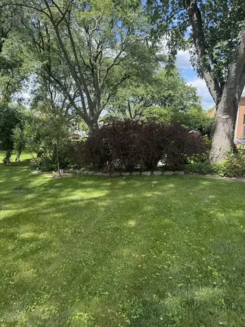 12 Gibson Road Park Forest IL 60466