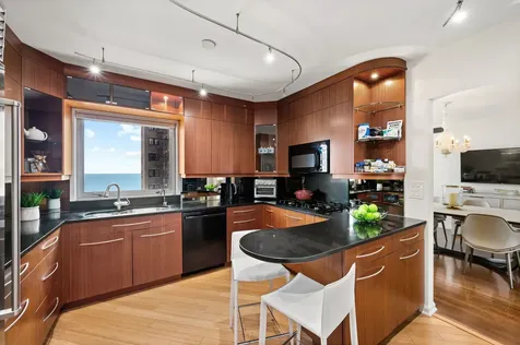 1515 North Astor Street Chicago IL 60610