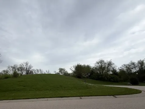 7010 Wildflower Court Spring Grove IL 60081