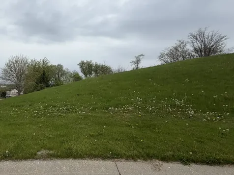 7010 Wildflower Court Spring Grove IL 60081