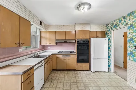 719 West Dresser Drive Mount Prospect IL 60056