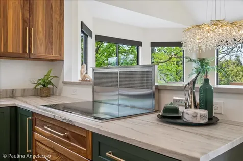 897 Longmeadow Court Lake Barrington IL 60010