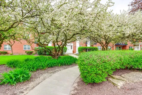 809 East Miner Street Arlington Heights IL 60004