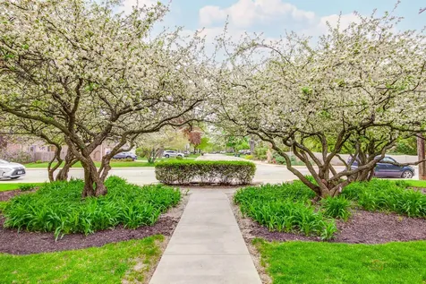 809 East Miner Street Arlington Heights IL 60004