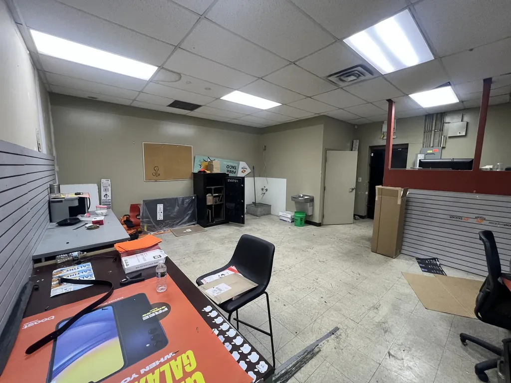 1315 East 87th Street Chicago IL 60619