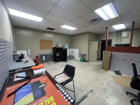 1315 East 87th Street Chicago IL 60619