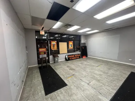 1315 East 87th Street Chicago IL 60619