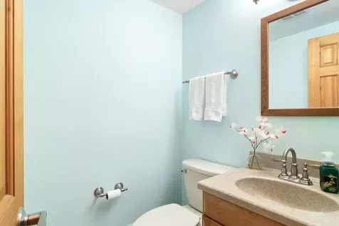 852 East Plate Drive Palatine IL 60074